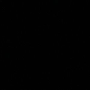 Meet your Posher, Darius